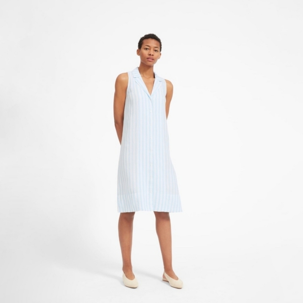 Everlane the Linen Sleeveless Shirt Dress